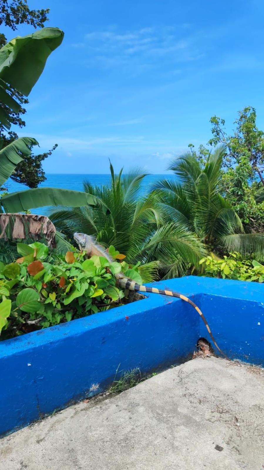 Hotel Maribu Caribe Puerto Limon Exterior photo